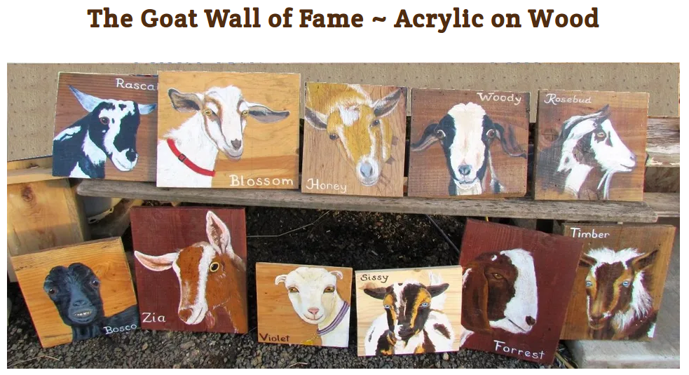 Goat Wall of Fame