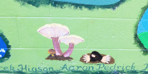 Mushrooms & Mole